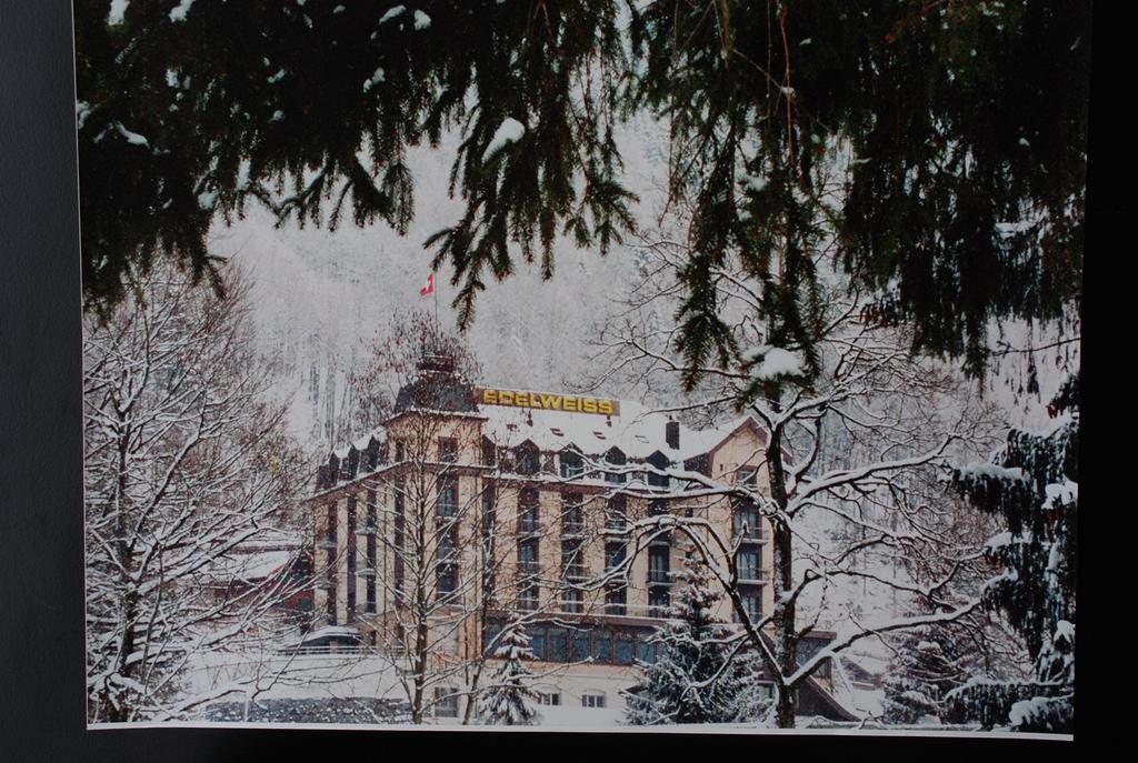 Hotel Edelweiss 英格堡 外观 照片
